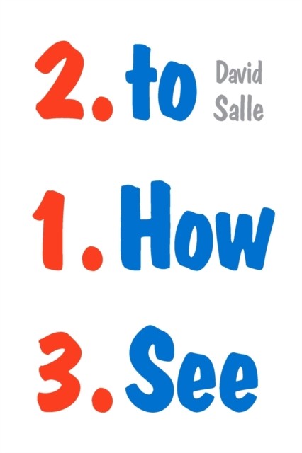How to See: Looking, Talking, and Thinking about Art-David Salle - Image 3