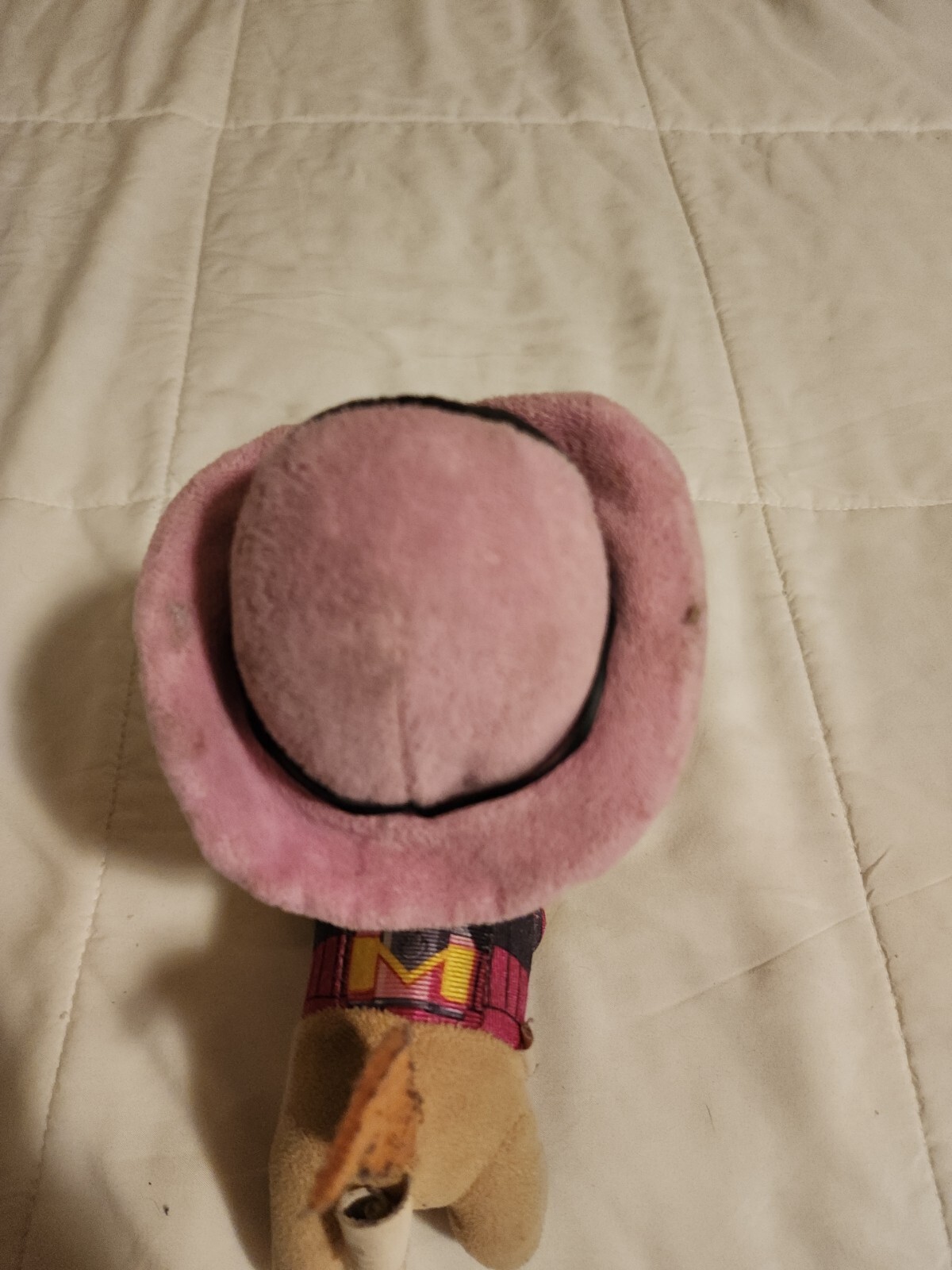 Picture 5 of 8