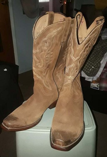 lucchese suede