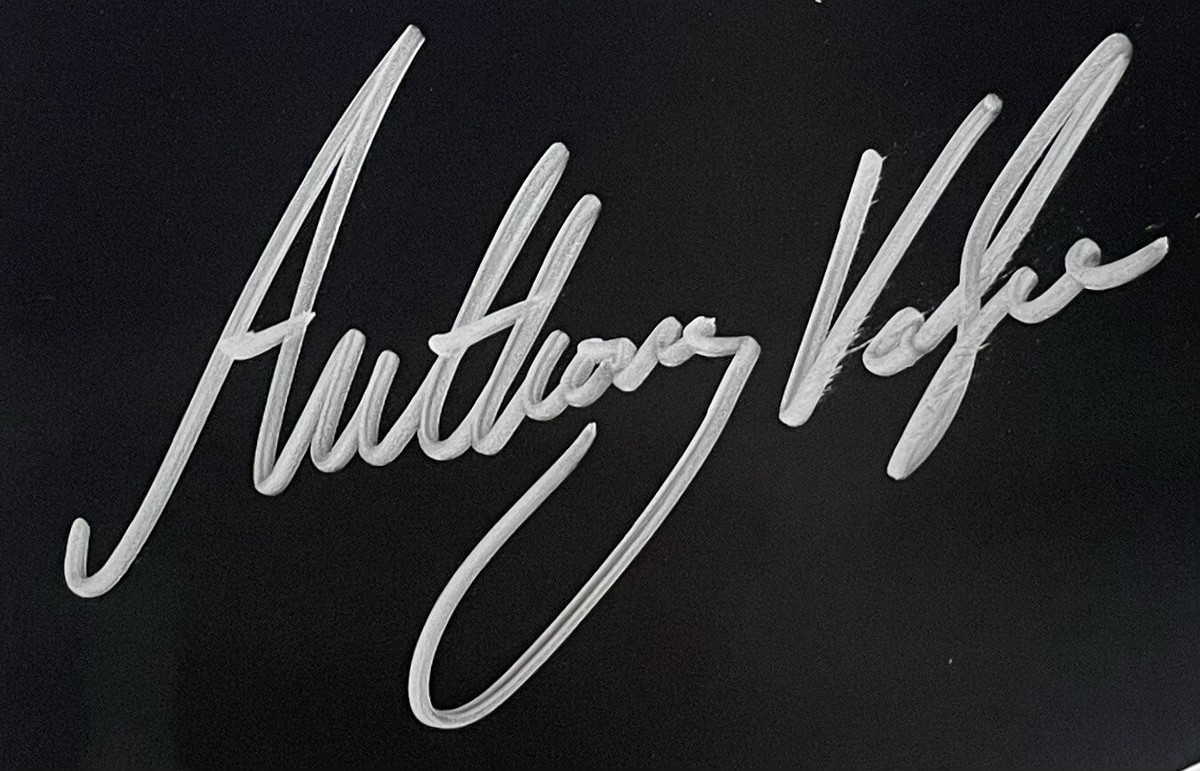 2019 Panini Anthony Volpe auto 直筆サイン　シリ 2019 Panini Anthony Volpe auto 直筆サイン シリ - タレントグッズ
