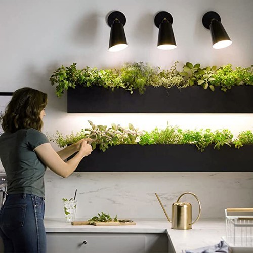Lámpara de cultivo de plantas Grow Espectro Completo 15WX2 A21 E27 Bombilla CE - Imagen 4 de 11