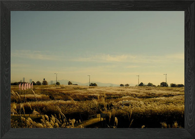 Moody Landscape in Seoul Framed Wall Art Poster Canvas Print Picture