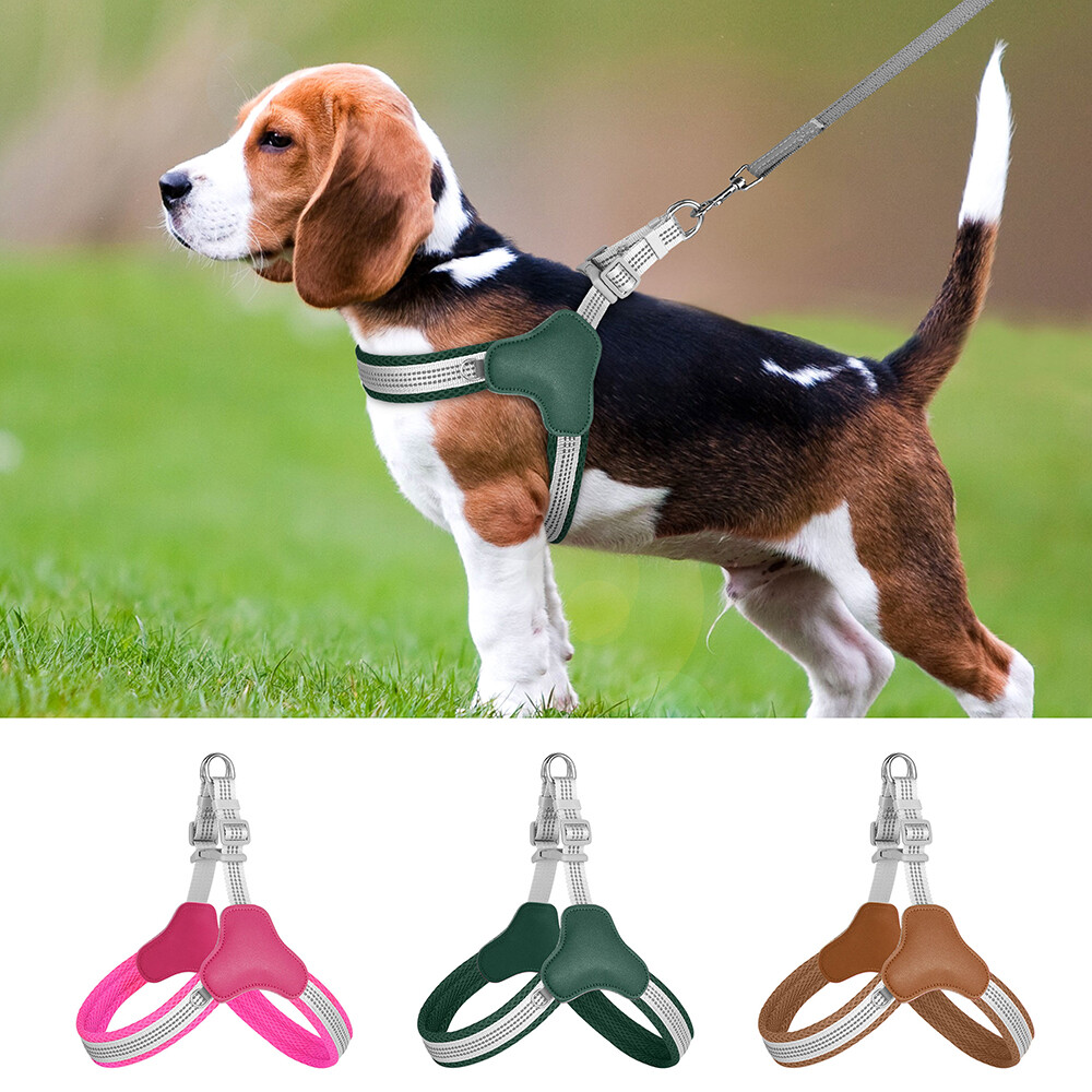 Leash Best Bark Collar For Beagle Leash Best Way To Train A Beagle