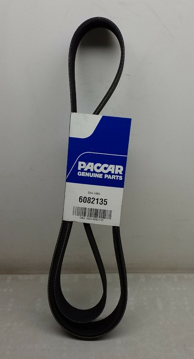D84-1000-6082135 Paccar Dynacraft Serpentine Belt Made In