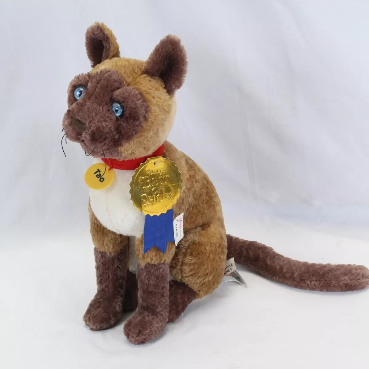 Cat toy store 2025