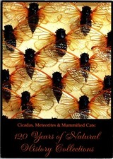 Publicidad postal de arte del Instituto de Nueva York gatos momificados meteoritos cigarras C166