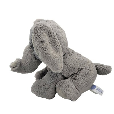 Gray Elephant 🐘 Blue Eyes 8