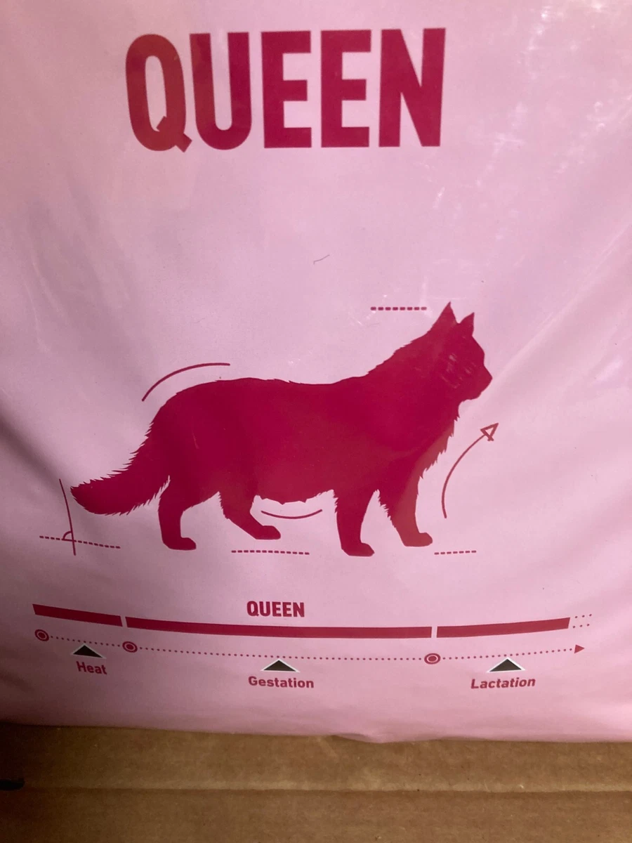 Royal canin best sale queen cat food