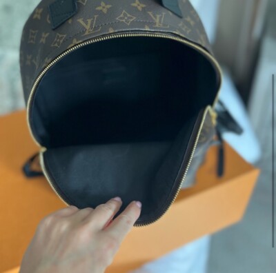 Louis Vuitton Palm Springs Backpack MM Brown Canvas Monogram  display picture 3