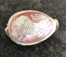 Vintage Leo Zodiac Sign, Cameo Style Engraved Cowrie Shell.