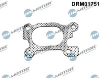 Dr.Motor Automotive Dichtung, AbgaskrüMmer U.A. FüR CitroËN, Peugeot, Toyota