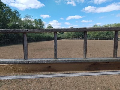 Altes rustikales Vintage Leiterteil aus Holz mit 4 Sprossen