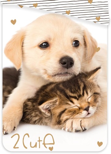 Golden Retriever Hund Katze Wende-Bettwäsche-Set 135x200 80x80 Baumwolle Welpen - Bild 3 von 7