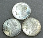 1921 P D S Morgan Silver Dollar UNC Frosty White lot of 3 coins in saflips #K478
