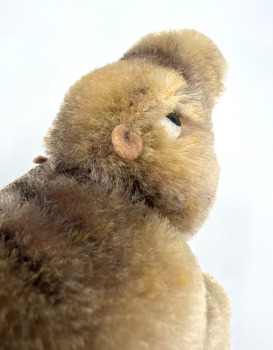 Steiff Mockie Hippo 1954 -64 Mohair Plush 10cm 4in no ID Vtg Steiff Mockie Hippo 1954 -64 Mohair Plush 10cm 4in no ID Vtg
