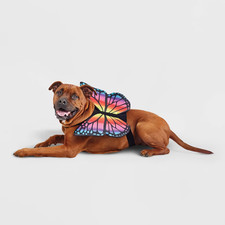 Hyde and Eek Butterfly Pet Dog Costume Size L/XL Halloween Up to 100 Ilbs