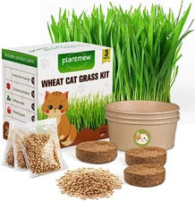 Organic Cat Grass Kit Indoor Wheat Seeds Soil Tools Hairball Remedy
