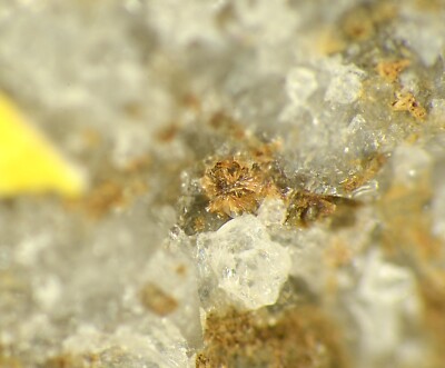 SCHNEEBERGITE from  Schneeberg, Germany  * TYPE LOCALITY SPECIMEN  * 1,4 cm
