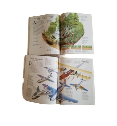 5 Children's Books Science Nonfiction Weather Animals Environment Homeschool - Picture 7 of 8
