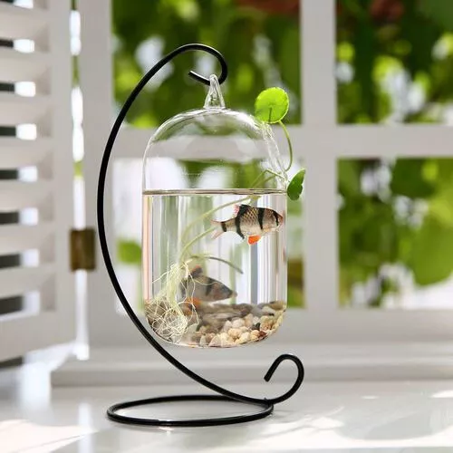 Clear Round Shape Hanging Glass Aquarium Fish Bowl Fish Tank Flower Plant  Vase R