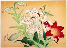 ENDO KYOZO, 恭三 / White and Red Lillies with a Praying Mantis 1930