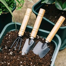 Mini Garden Tool Set – Rake, Trowel & Shovel for Succulents