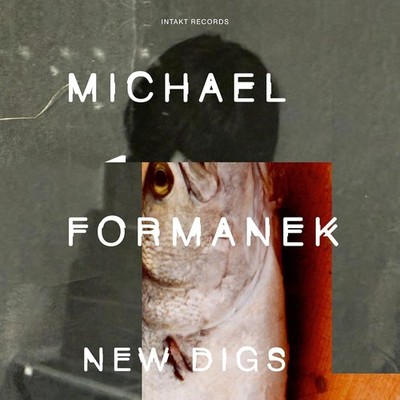Michael Formanek New Digs (CD) Album
