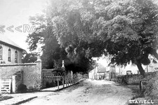 nyy-4 Street View, Stawell Village Nr Bridgwater, Somerset 1932. Photo
