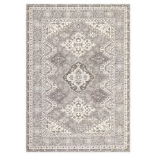 5'x7' Washable Vintage Indoor Soft Non Slip Distressed Floral Print Area Rug