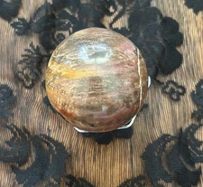 🌳 Petrified Wood Sphere | Ancient Wisdom, Grounding, Earth Connection 🌎