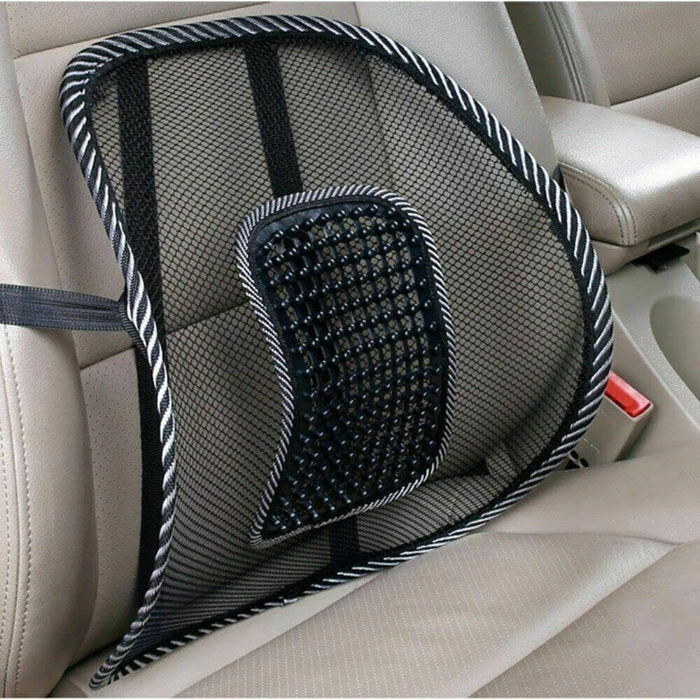 Big Ant Lumbar Support Pillow Back Support for Car Office Chair