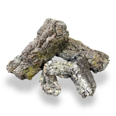 EXOTIC PETS ESSENTIALS CORK BARK FLAT PIECES | Decoration for Vivarium & Aquarium