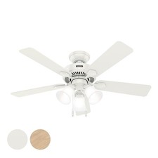 Hunter Fan 44 inch White Indoor Ceiling Fan with Light and Pull Chain