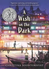 A Wish in the Dark - paperback Soontornvat, Christina