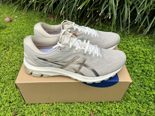 Asics GT-1000 10 Men's Running Shoes Sz 