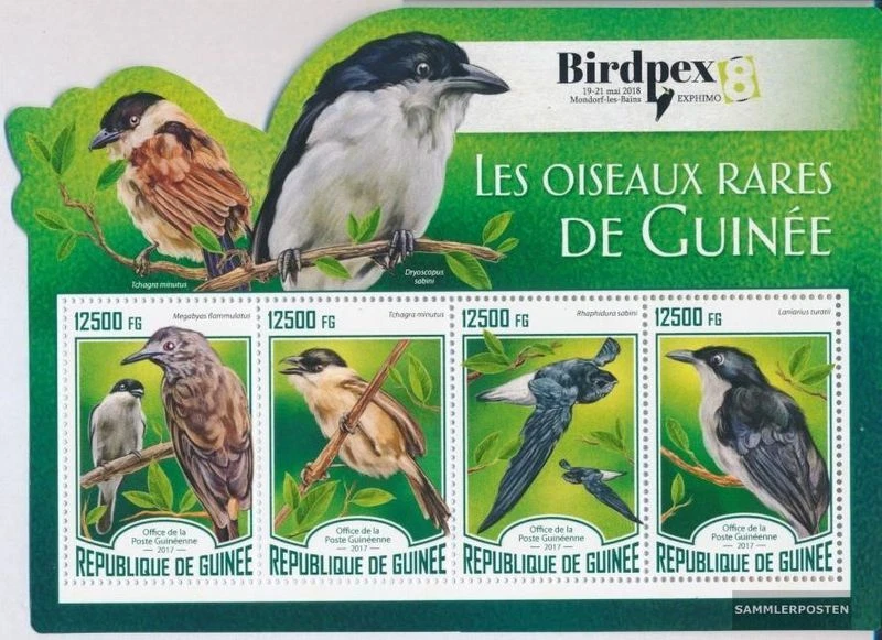 Guinea 12516-12519 Kleinbogen (kompl. Ausgabe) postfrisch 2017 Seltene Vögel - Bild 1 von 1