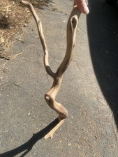 Manzanita Wood, Driftwood, Reptile Tank Decor, Fishtank aquascape Or Terrarium