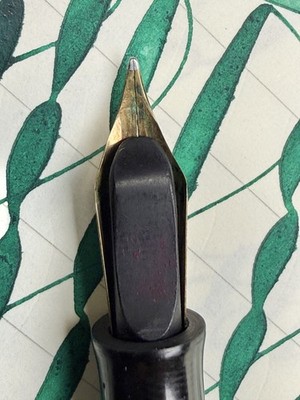 XF Waterman 54 14K Gold nib Wet Noodle (video)