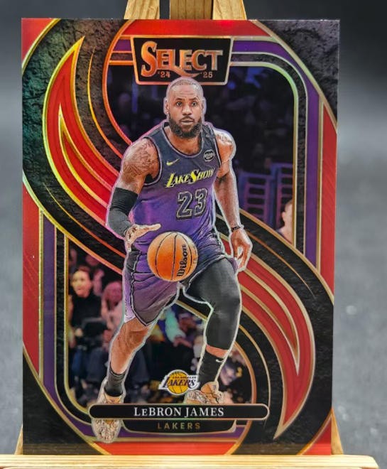 LeBron James 2024-25 Panini Select Premier Level Red Prizm 117/199 #111