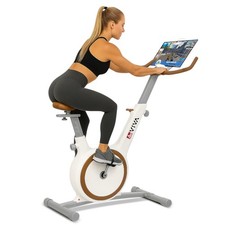 AsVIVA Heimtrainer Ergometer - H12 Fitnessbike - Fahrrad 110 kg Cardio leise