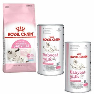 royal canin babycat 2kg