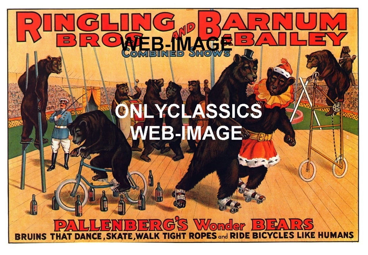 Barnums shop dance shop