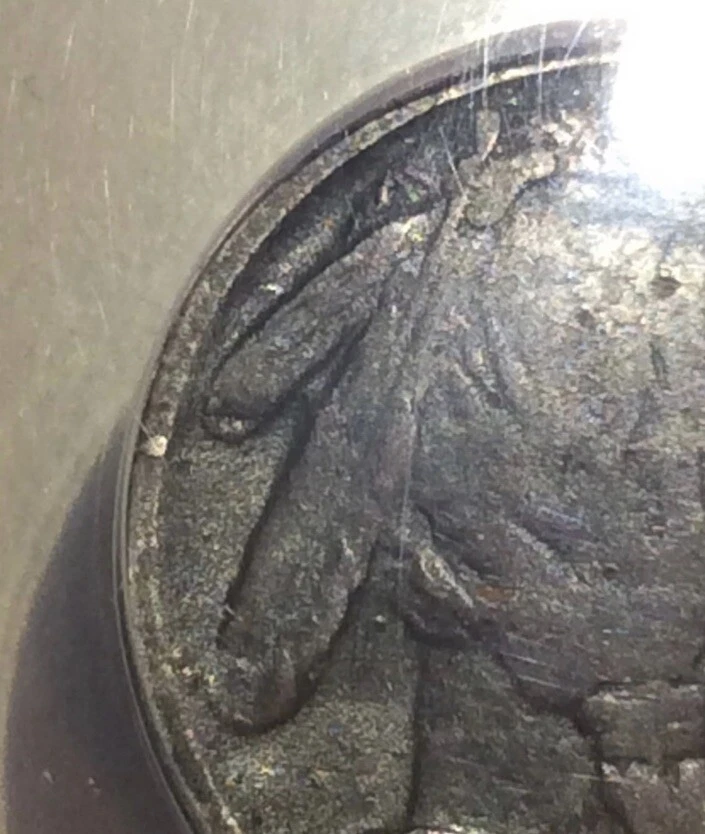 Rare Less Than 40 Exist- ANACS Certified Two Feathers Error 1916 Buffalo Nickel - Image 4 of 4