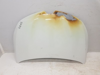 651003246R 2396133 haube  RENAULT CLIO V EVOLUTION 2019