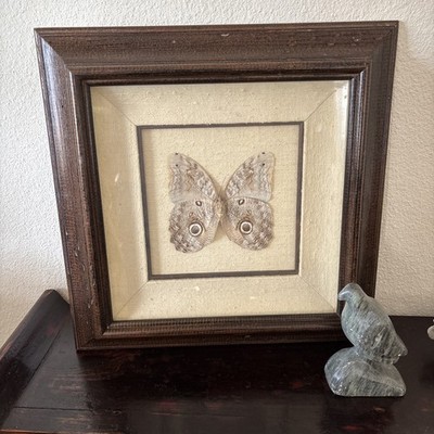 Vintage Framed Owl Butterfly, Dark Library, Great Condition, wood frame 