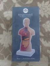 Körpermodell Menschliche Anatomie, 27cm, Torso 14 Abnehmbare Teile ( Education )