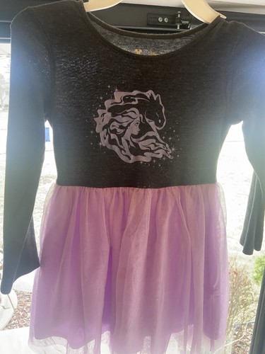 DISNEY Jumping Beans Limited Edition ELSA Frozen Long Sleeve Dress SIZE 5