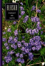 Alaska Forget Me Nots Postcard