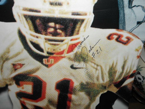 Very Rare Miami Hurricanes “Full Force Football” Giant 2-sided autographed James - Picture 3 of 3