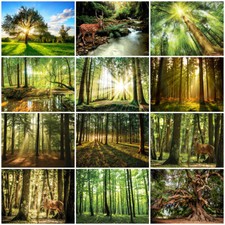 Tapete WALD 3D Fototapete Vlies Natur Sonne Hirsch Grün Bäume Wohnzimmer MIX016